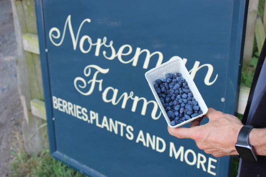 Norseman Farm featured in Macclesfield Nub News